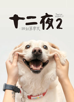 十二夜2:回到第零天封面图