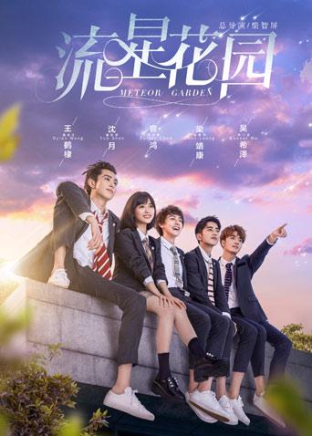 流星花园DVD版封面图