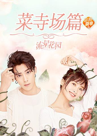 流星花园菜寺场篇封面图