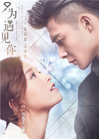 只为遇见你DVD版封面图