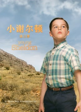 小谢尔顿3封面图