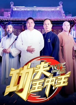 功夫王中王3封面图