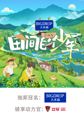 田间的少年2封面图