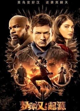 罗宾汉:起源封面图