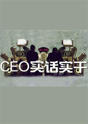 CEO实话实干2010封面图