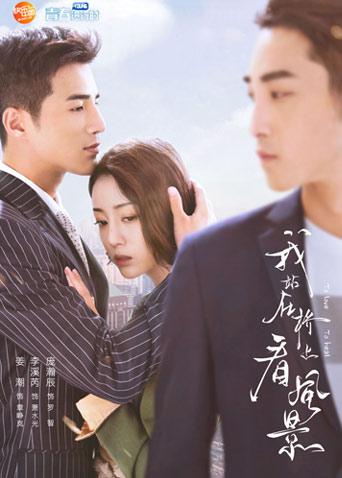 我站在桥上看风景DVD版封面图