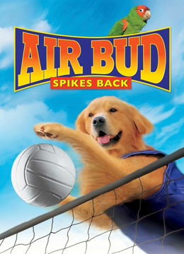 飞狗巴迪5:排球健将封面图