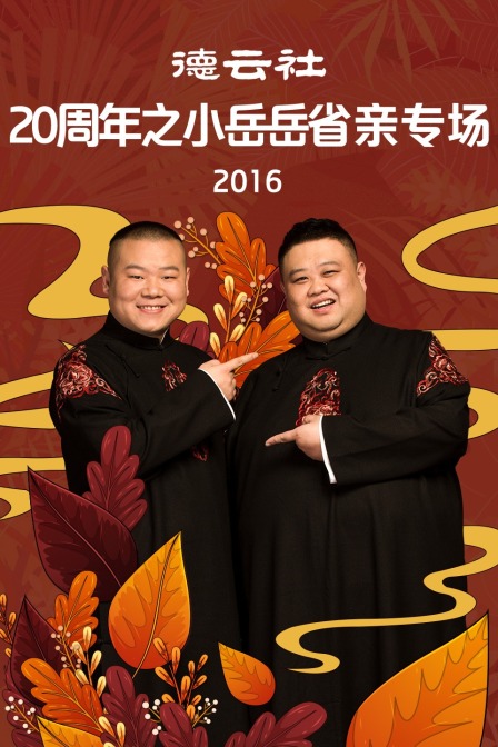 德云社20周年之小岳岳省亲专场2016封面图