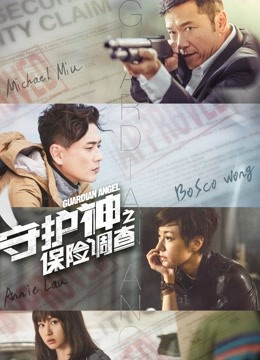 守护神之保险调查粤语封面图