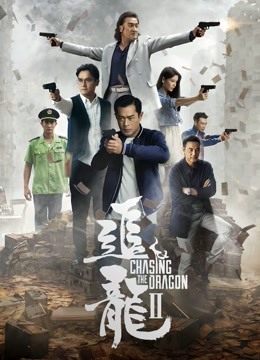 追龙2:追缉大富豪封面图