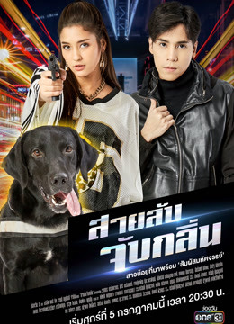 侦探K9版封面图