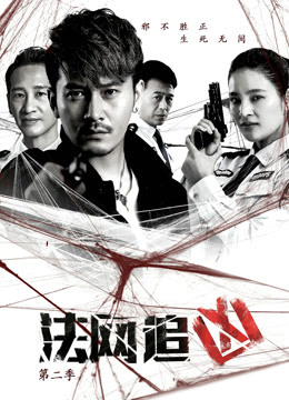 法网追凶2封面图