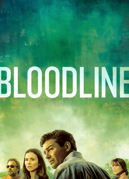 至亲血统3封面图