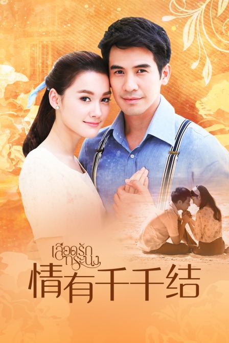 情有千千结TV版封面图