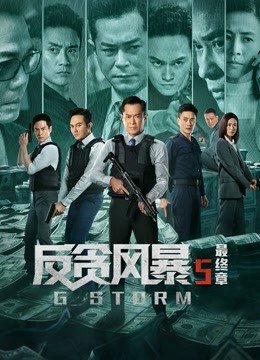 反贪风暴5:最终章粤语封面图