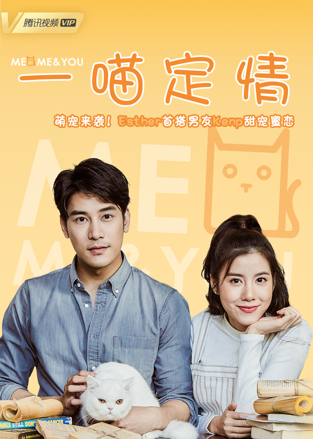 一喵定情封面图