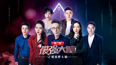 最强大脑之燃烧吧大脑2封面图