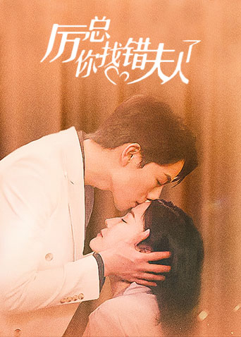 厉总你找错夫人了封面图