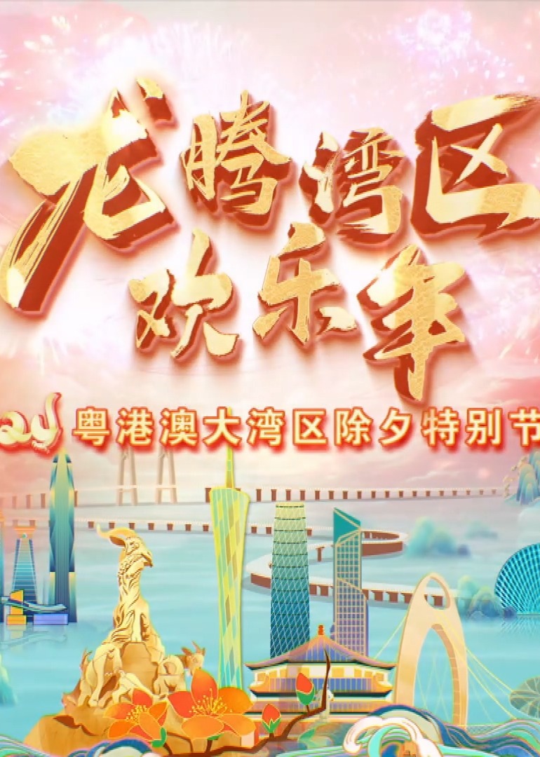 粤港澳大湾区除夕特别节目封面图