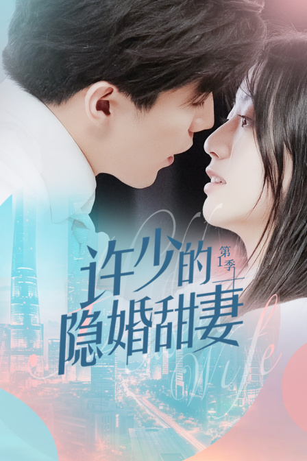 许少的隐婚甜妻1封面图