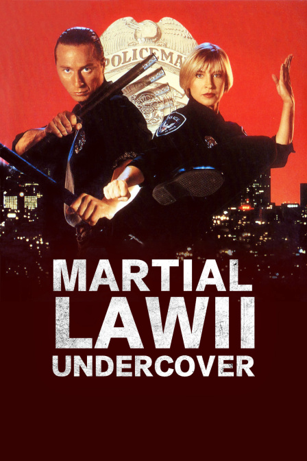 铁胆雄风2:卧底飞龙封面图