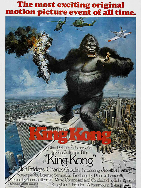 金刚:传奇重生封面图