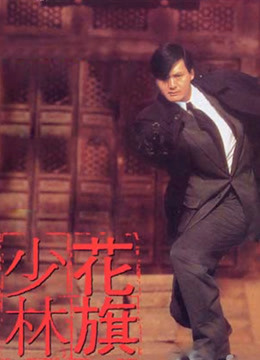 花旗少林粤语封面图