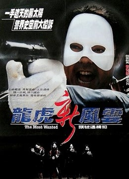 龙虎新风云粤语封面图