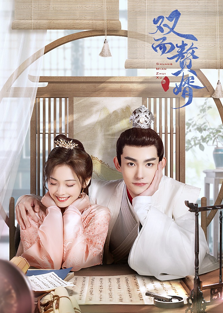 双面赘婿2封面图