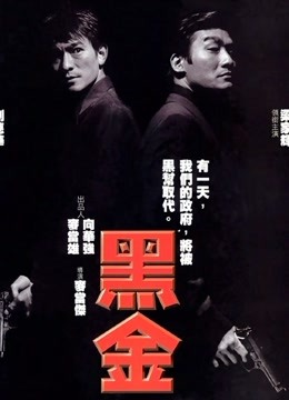 黑金粤语封面图