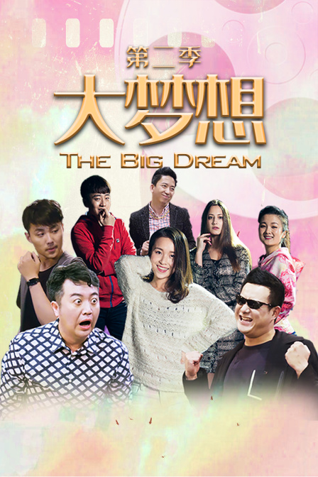大梦想2封面图
