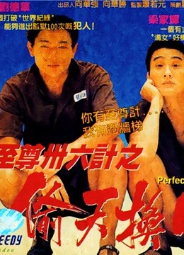 至尊三十六计之偷天换日粤语封面图