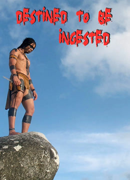 命中注定2008封面图