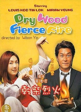 干柴烈火粤语封面图