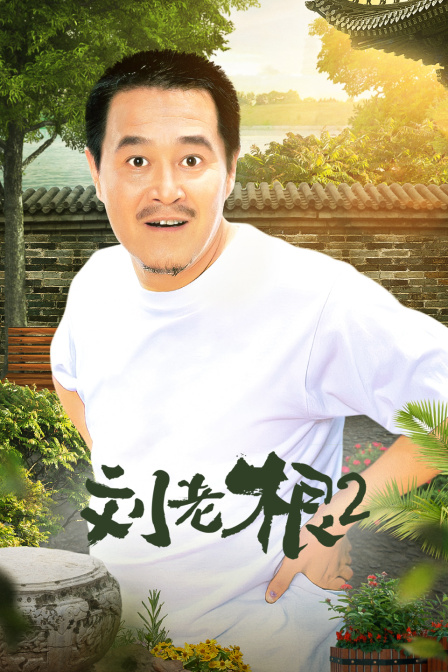 刘老根第二部