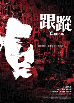 跟踪粤语封面图