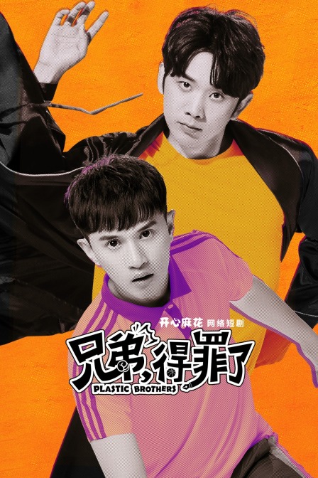 兄弟得罪了封面图