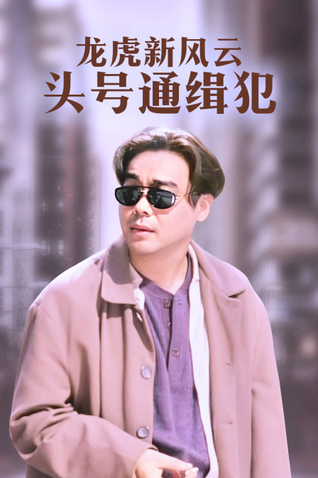 龙虎新风云头号通缉犯封面图