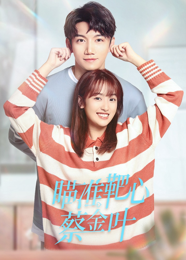 瞄准靶心蔡金叶封面图