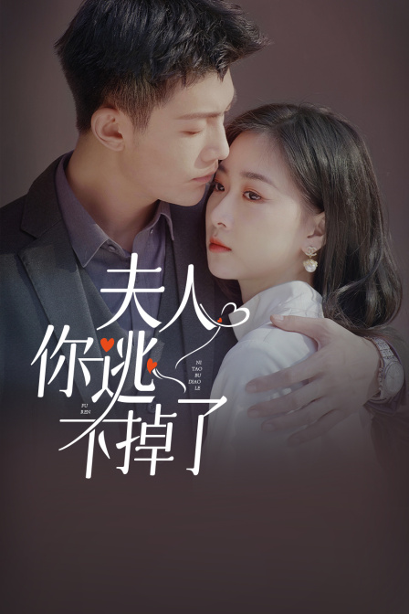 夫人你逃不掉了封面图