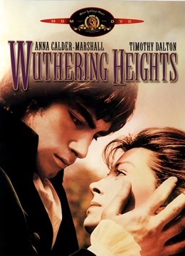 呼啸山庄1992封面图