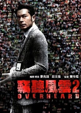 窃听风云2粤语封面图