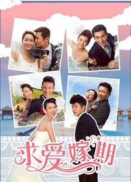 求爱嫁期2014封面图