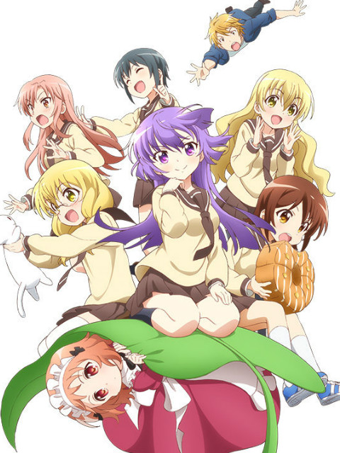 三者三叶特典封面图