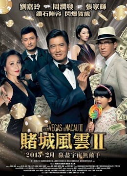 澳门风云2粤语封面图