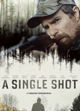 致命一击2013封面图