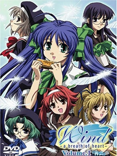 风:心之呼吸:封面图