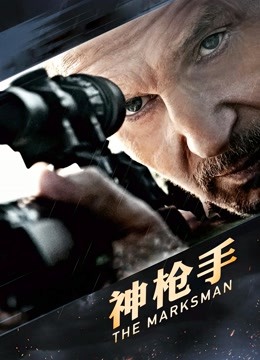 神枪手版封面图