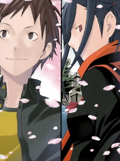 夜樱四重奏星之海封面图