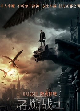 屠魔战士版封面图